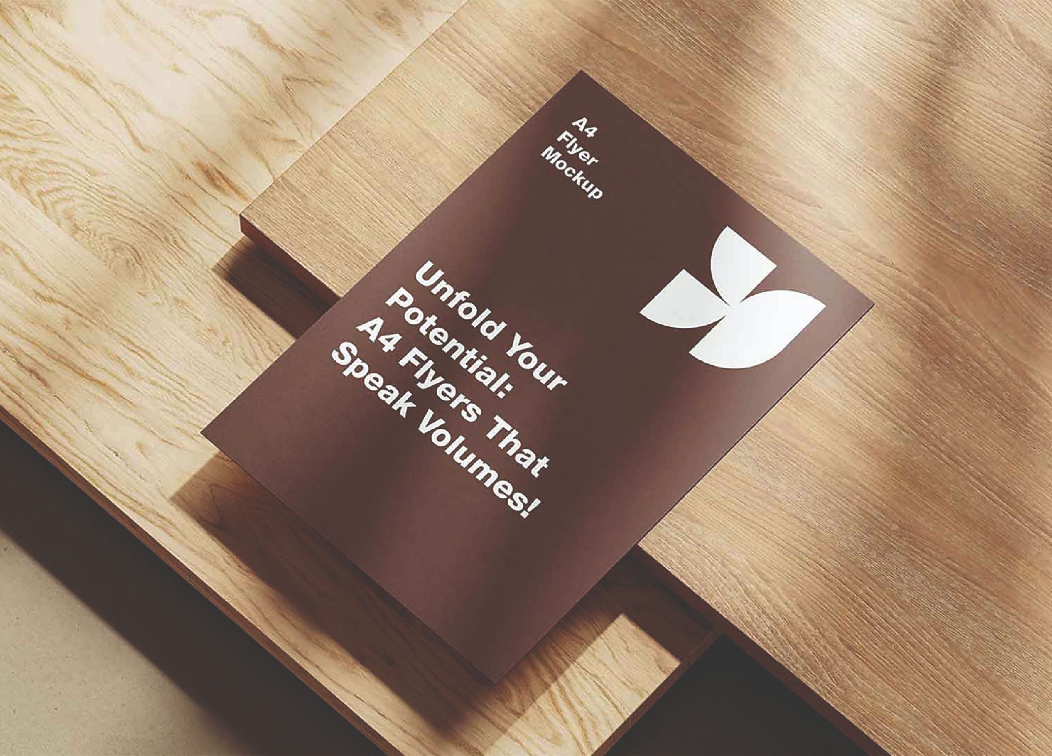 Marketing flyer design and printing services